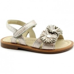 SandalenBalocchiBAL-E19-496490-CO-a
