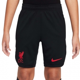 NikeLiverpoolFcStrikeTrainingShortsKids