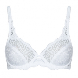 VoorgevormdebhTriumphAmouretteW