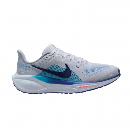 NikePegasus41Heren
