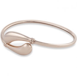 ArmbandIonFizNK-X2NS-H0R2