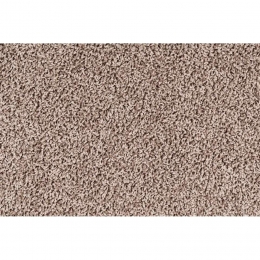 LeenBakker-TapijtBardolino-Polyethyleen-Beige-B400Cm