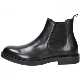 LaarzenLumberjack102217100