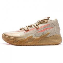 BasketbalschoenenPuma-