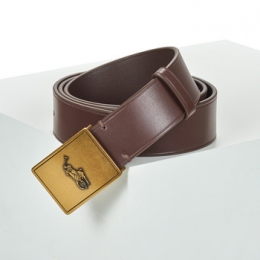 RiemPoloRalphLaurenPPPLAQUE-CASUAL-MEDIUM