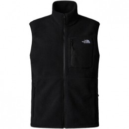 VestTheNorthFaceMYUMIORIVESTNF0A8B65JK31