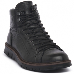 LaarzenIgIampCONEROGIONATA