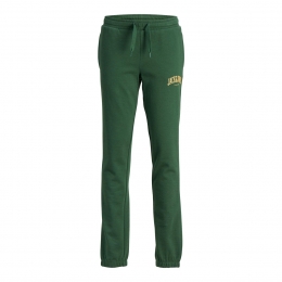 JackJonesKidsKaneJoshSweatPants