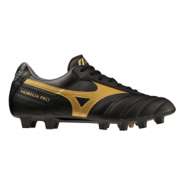MizunoMoreliaIiPro