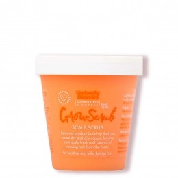 UmbertoGianniniGrowLongScrubScalpScrub250gr