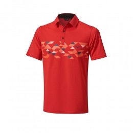 MizunoCheckerPoloShirtHerenMaatS