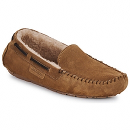 PantoffelsShepherdSTEFFO