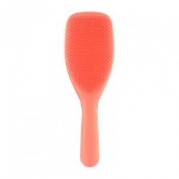 TangleTeezerUltimateWetDetanglerLarge