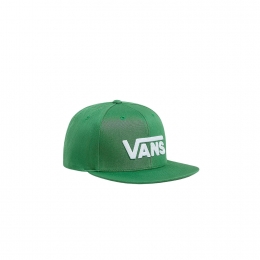 VansDropVIISportCaps1