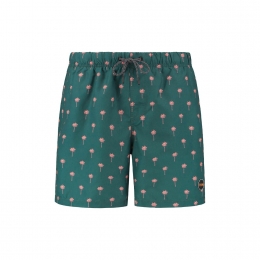 ShiwiSwimshortScratchPalm