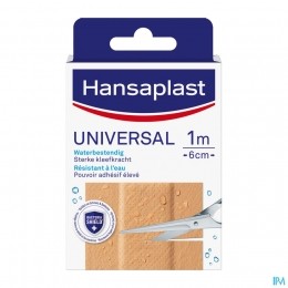 HansaplastUniversal1mx6cm