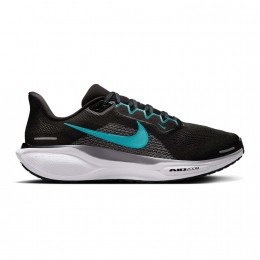 NikePegasus41