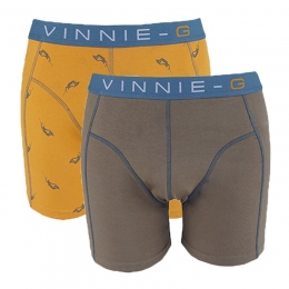 Vinnie-GboxershortsWakeboardGrey-Print2-Pack-L