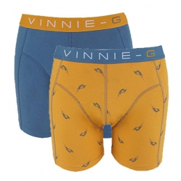 Vinnie-GboxershortsWakeboardBlue-Print2-Pack-L