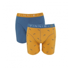 Vinnie-GBoysboxershortsWakeboardBlue-Print2-Pack-128134