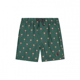 ShiwiScratchPalmZwembroekJongens