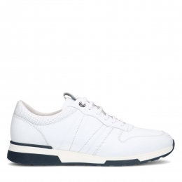Wittelerensneakers