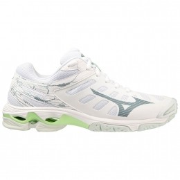 MizunoWaveVoltage