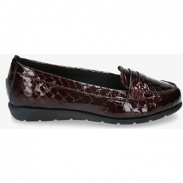 MocassinsStGallenABRIL20-10-15539