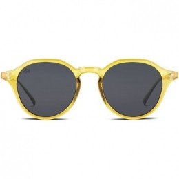 ZonnebrilTwigLangevinSun