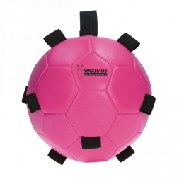 MaximusFunPlayBallPink