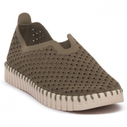 BallerinasIlseJacobsenJACOBSENARMYTULIP3275