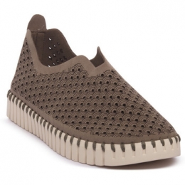 BallerinasIlseJacobsenJACOBSENFALCTULIP3275