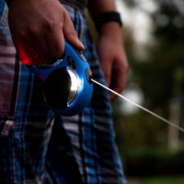 flexiLichtsystemLEDzwart