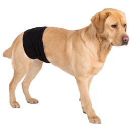 ReuenluierGentlemanWrapPluszwartMaatXL