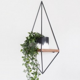WandplankLuciusHannahHome