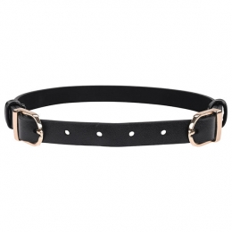 SportsheetsSexMischiefDoubleBuckleDayCollar
