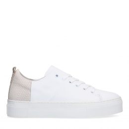 Wittelerensneakersmetgrijzeachterkant