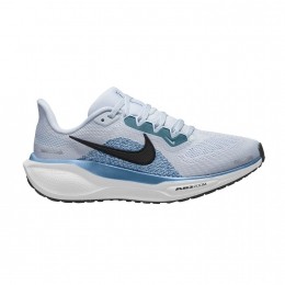 NikePegasus41Dames