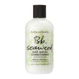 BumbleandbumbleSeaweedConditioner250ml