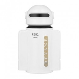 ReyaneTraditionR2B2CryptoEaudeParfum100ml