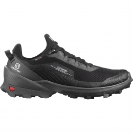 SalomonCrossOverGtx