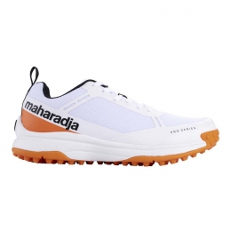 TheIndianMaharadjaProHeren