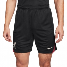 NikeLiverpoolFcStrikeTrainingShorts