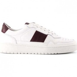 SneakersNationalStandard-