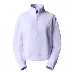 TheNorthFace100GlacierFleeceHalfZip
