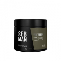 SebastianSebManTheDandyShinyPommade