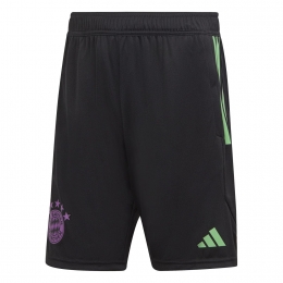 AdidasFcBayernMnchenTrainingShortsKids