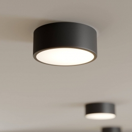TEMARLIGHTINGPlafondlampCleo20cmIP20zwartmetaalE27