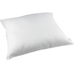 Livkussen60x70
