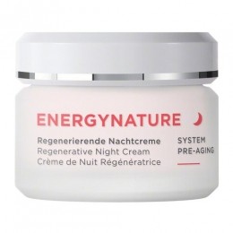 AnnemarieBrlindEnergyNatureRegenerativeNachtcreme50ml